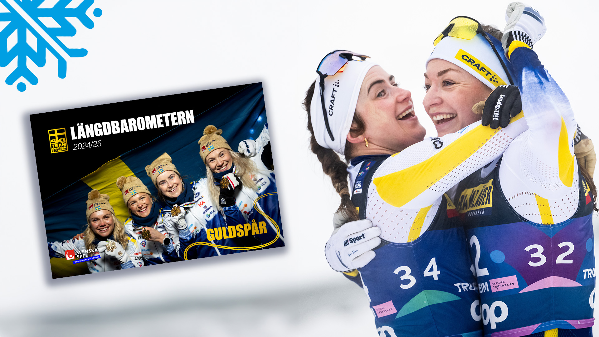 En bild