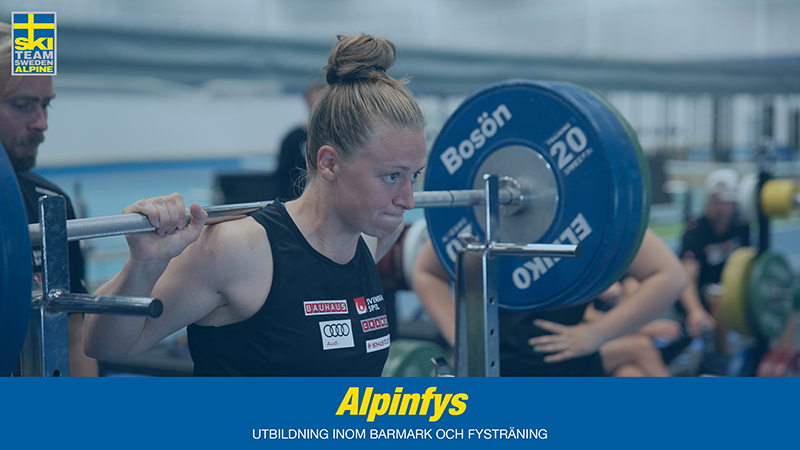 En bild